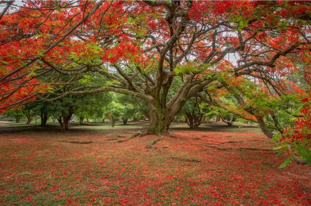 Suítes Privativas Vila de São Jorge - Chapada dos Veadeiros Exterior foto